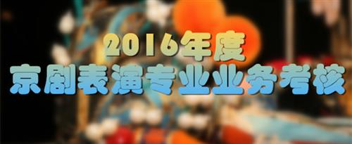 湿嗯插深一点国家京剧院2016年度京剧表演专业业务考...